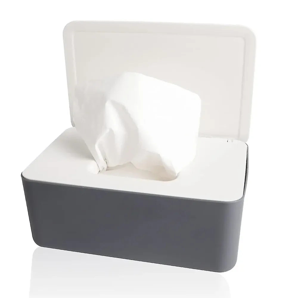 Soie Pet Cleaning Wet Wipes (80pc)-1